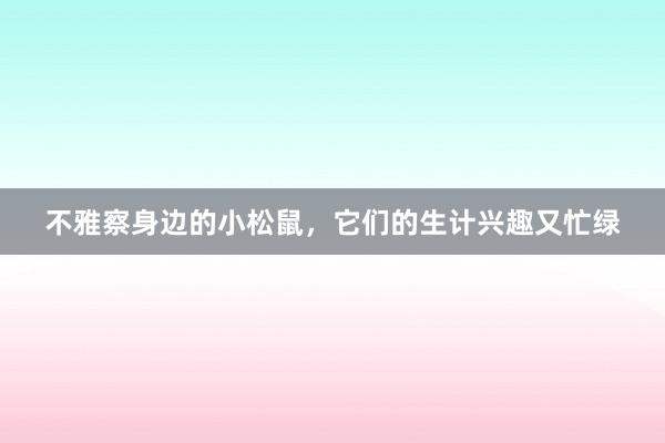 不雅察身边的小松鼠，它们的生计兴趣又忙绿