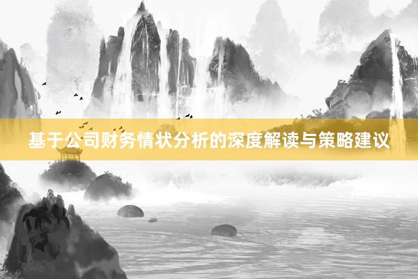基于公司财务情状分析的深度解读与策略建议