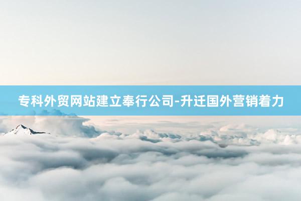 专科外贸网站建立奉行公司-升迁国外营销着力