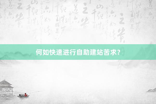 何如快速进行自助建站苦求？