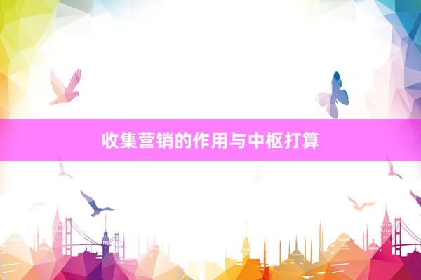 收集营销的作用与中枢打算
