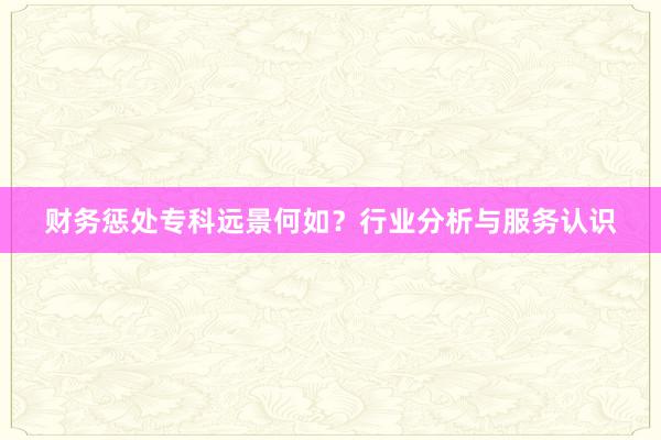 财务惩处专科远景何如？行业分析与服务认识